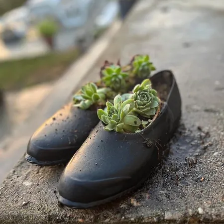 Cajica Avlija Prázdninový dům Obrenovac (Belgrade)