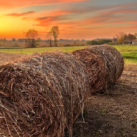 別荘 Cajica Avlija Obrenovac