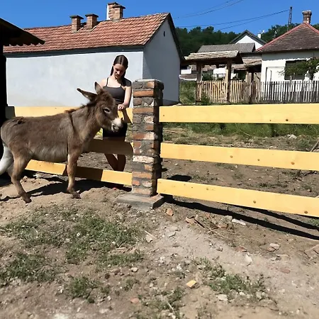 Cajica Avlija * Obrenovac (Belgrade)