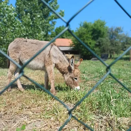 Cajica Avlija * Obrenovac