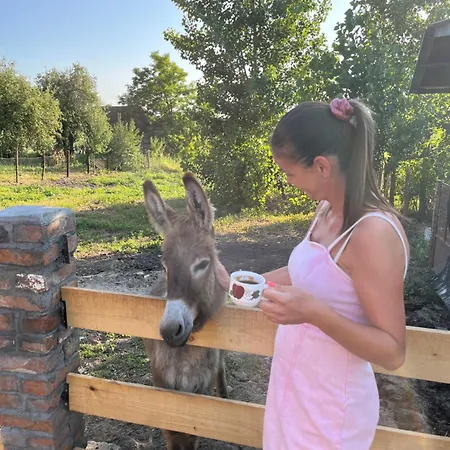 Cajica Avlija * Obrenovac