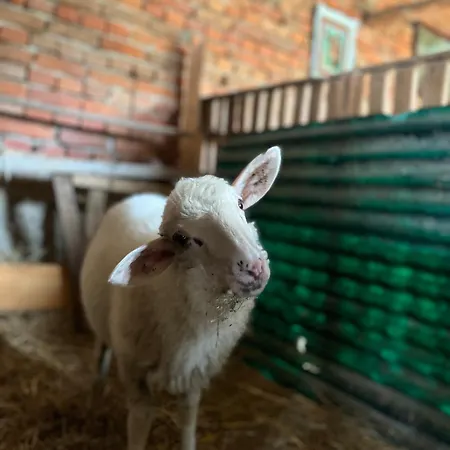 Cajica Avlija Prázdninový dům *