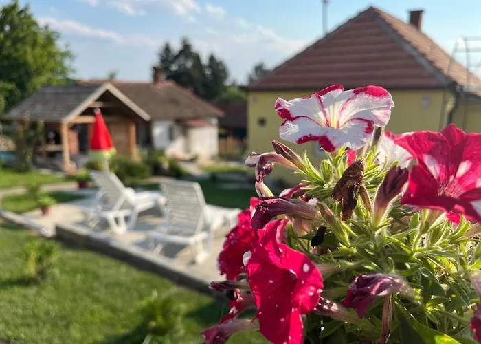 Cajica Avlija * Obrenovac (Belgrade)