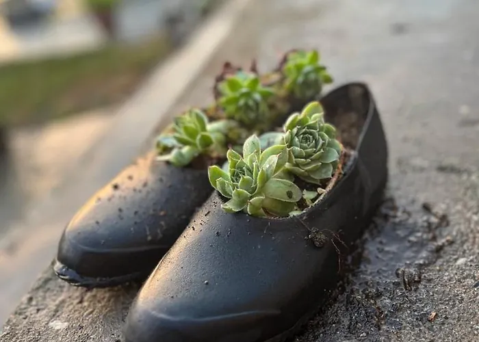 Cajica Avlija Сasa de vacaciones Obrenovac (Belgrade)