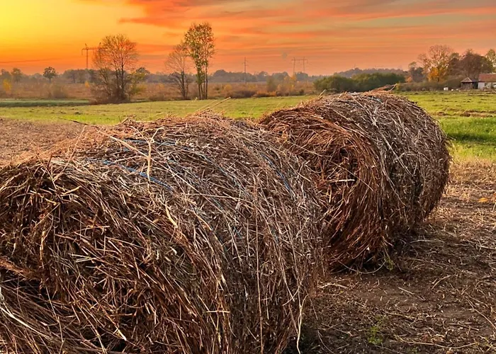 Сasa de vacaciones Cajica Avlija Obrenovac (Belgrade)