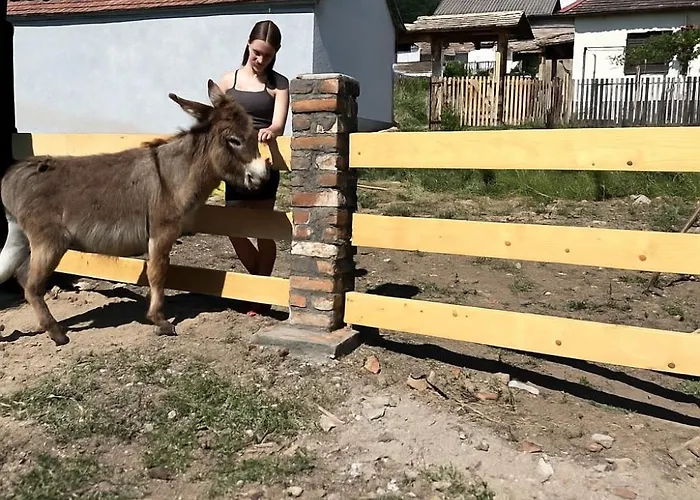 Cajica Avlija * Obrenovac (Belgrade)