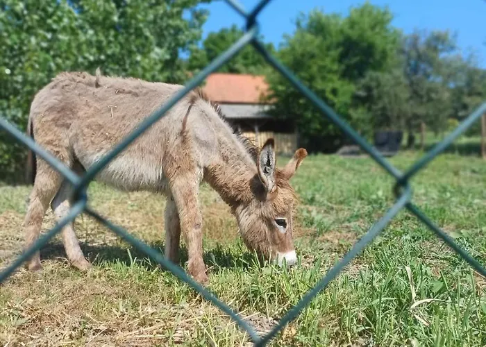 Cajica Avlija * Obrenovac (Belgrade)
