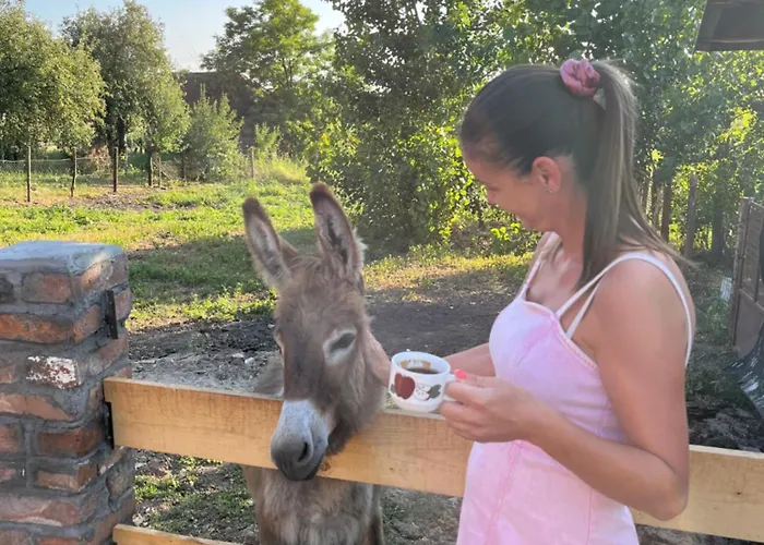 Cajica Avlija * Obrenovac (Belgrade)