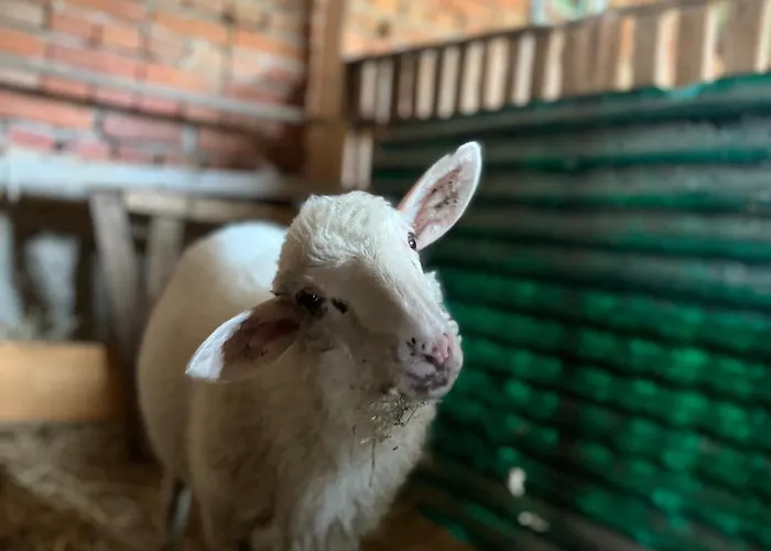 Cajica Avlija Сasa de vacaciones *